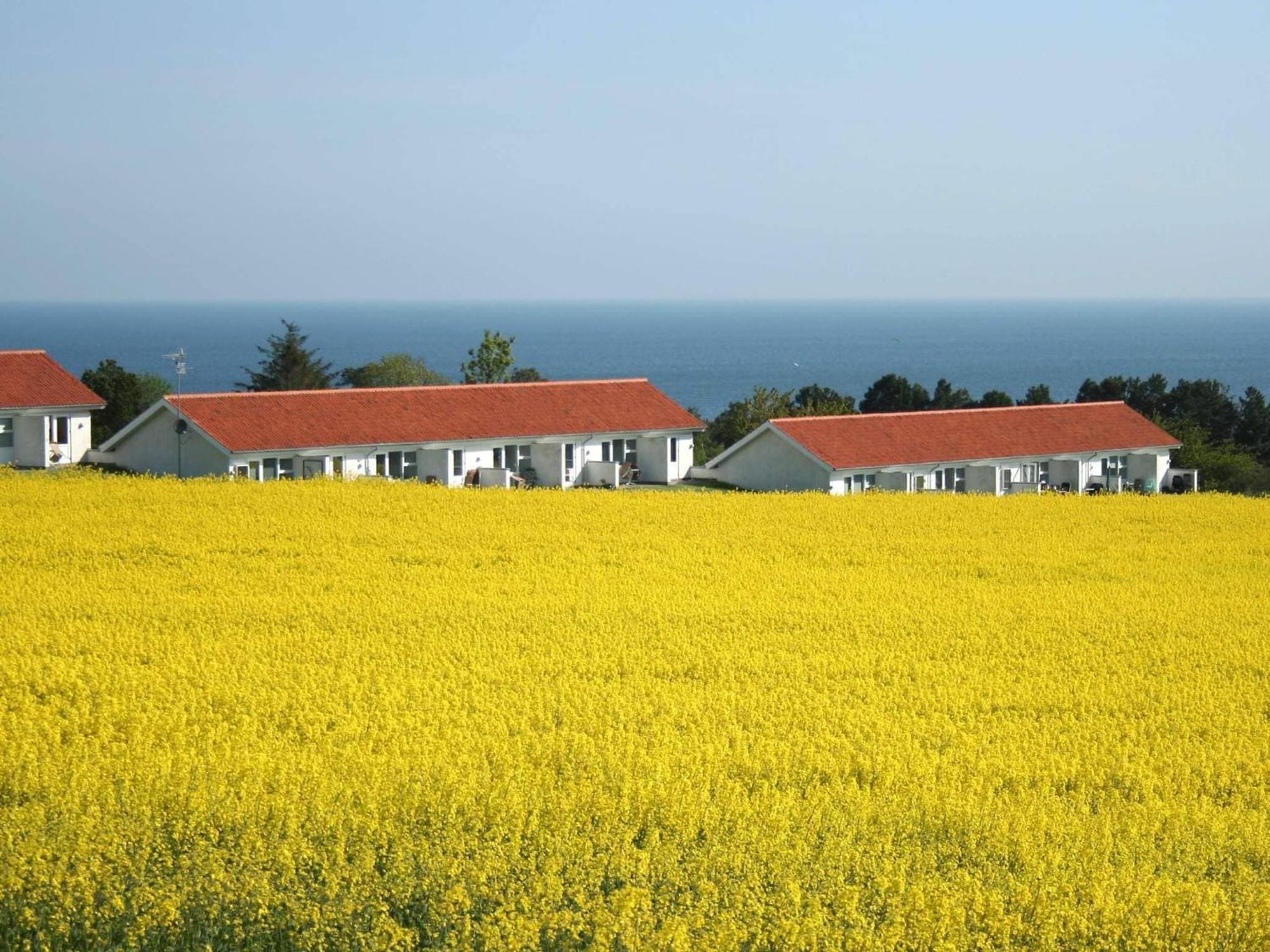 2 Person Holiday Home In Allinge Eksteriør bilde